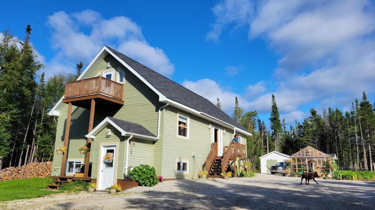 Upper Humber Settlement A Farmstay B&B Cormack Exterior foto